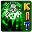 Kit Festa Completa Palmeiras para 16 pessoas